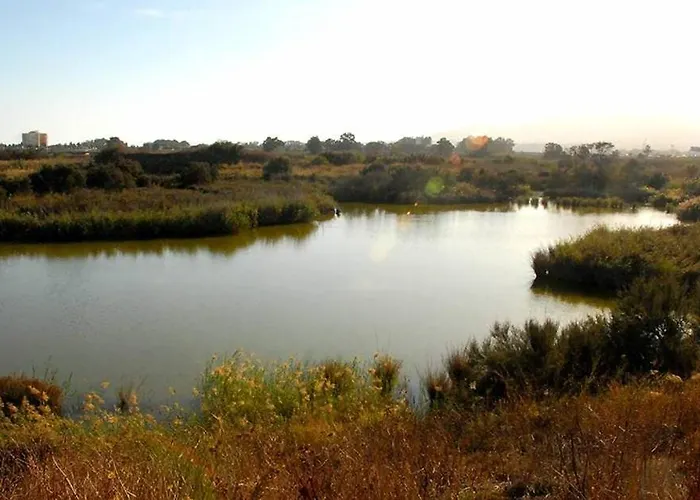 Guadalmarina - Playa, Naturaleza Y Ciudad